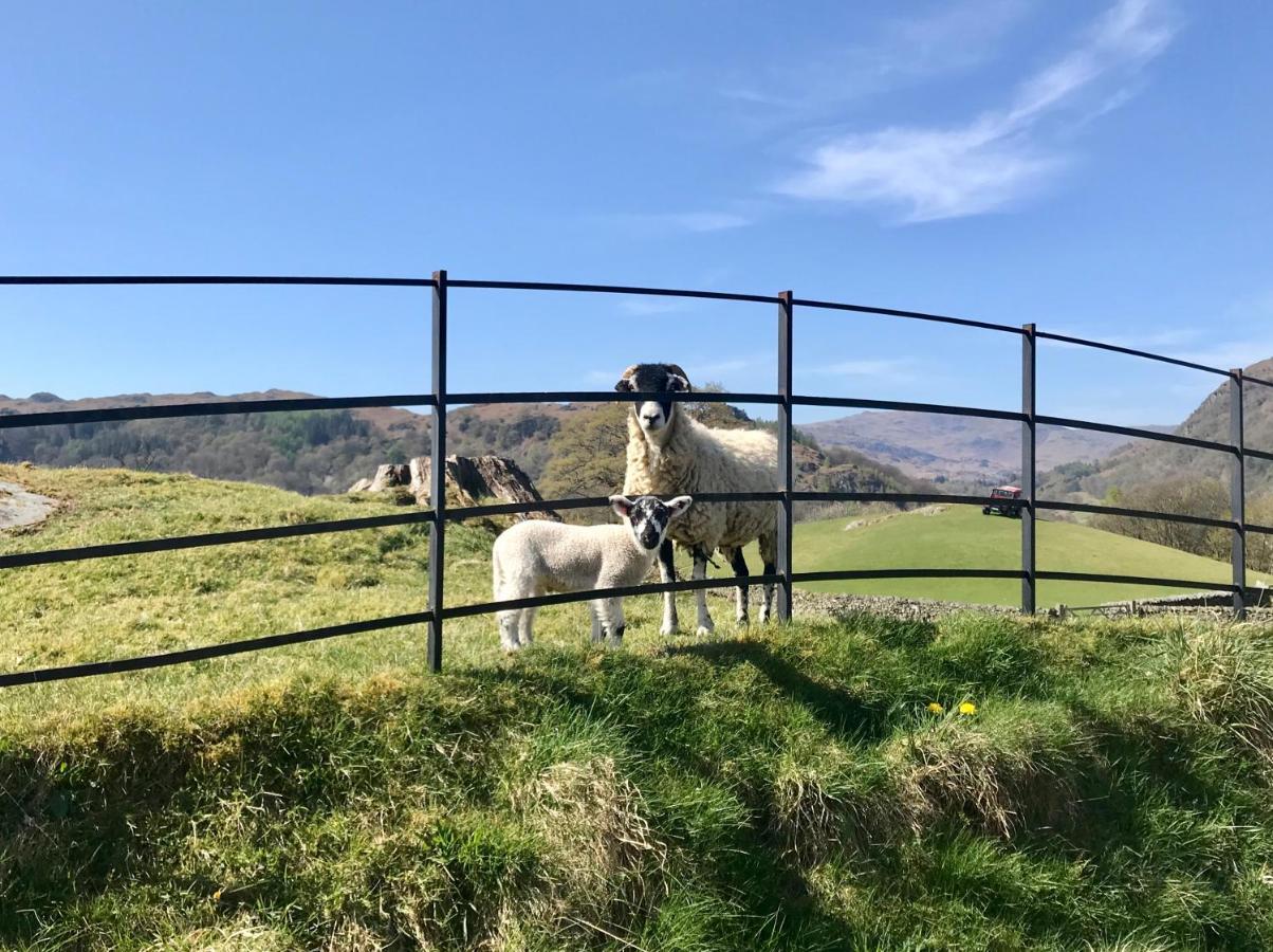 Stiles Of Ambleside Bed and Breakfast Εξωτερικό φωτογραφία